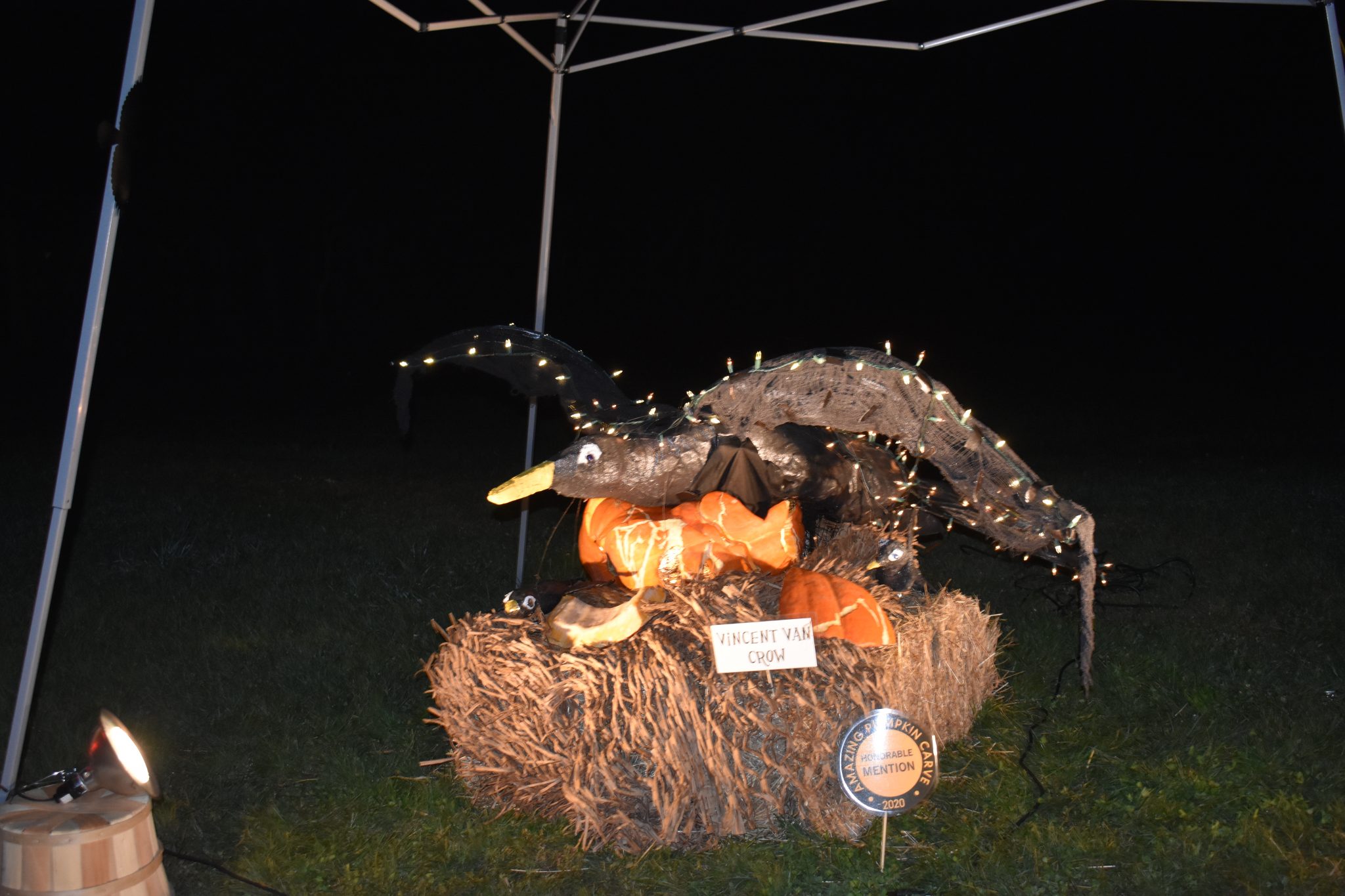 Amazing Pumpkin Carve displays dozens of handcrafted jack o’lanterns