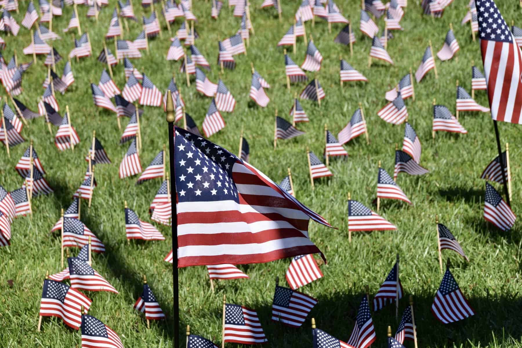 Rotary Club of Hillsborough to organize ‘Flags for Heroes’ field of honor Veteran’s Day