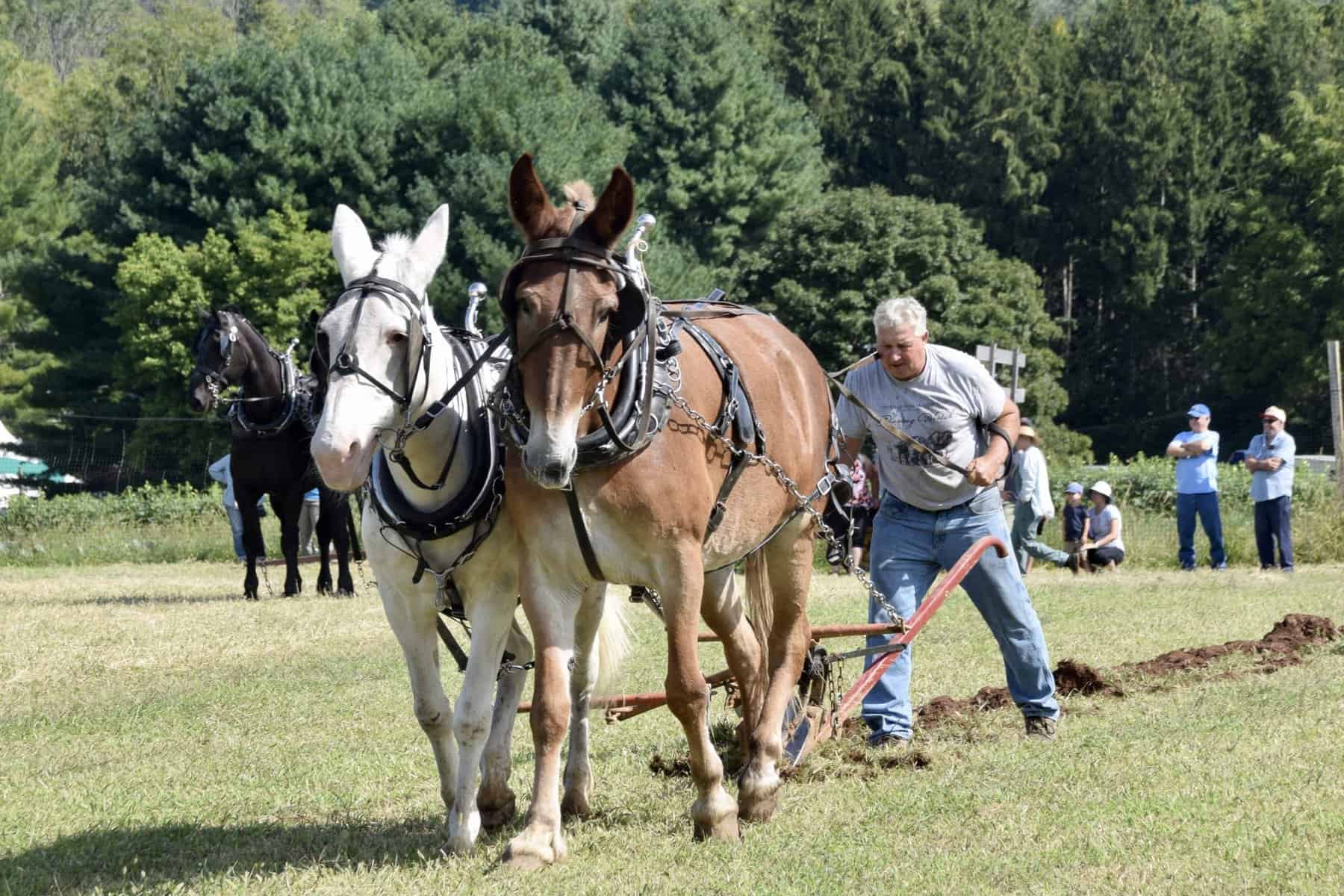 Howell Farm annual plowing match returns for a 38th year