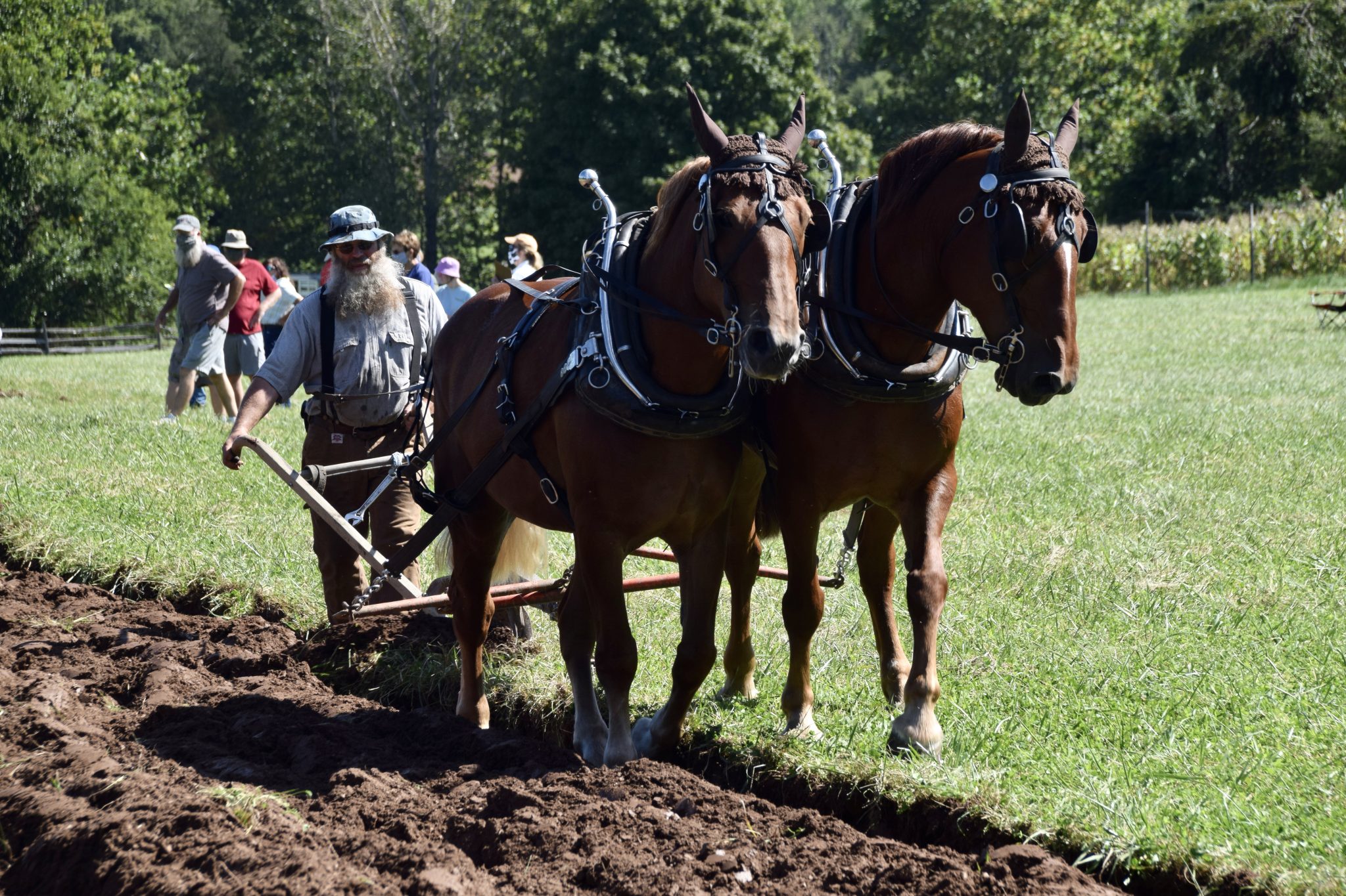 Howell Farm Living History Farm continued its annual plowing match tradition