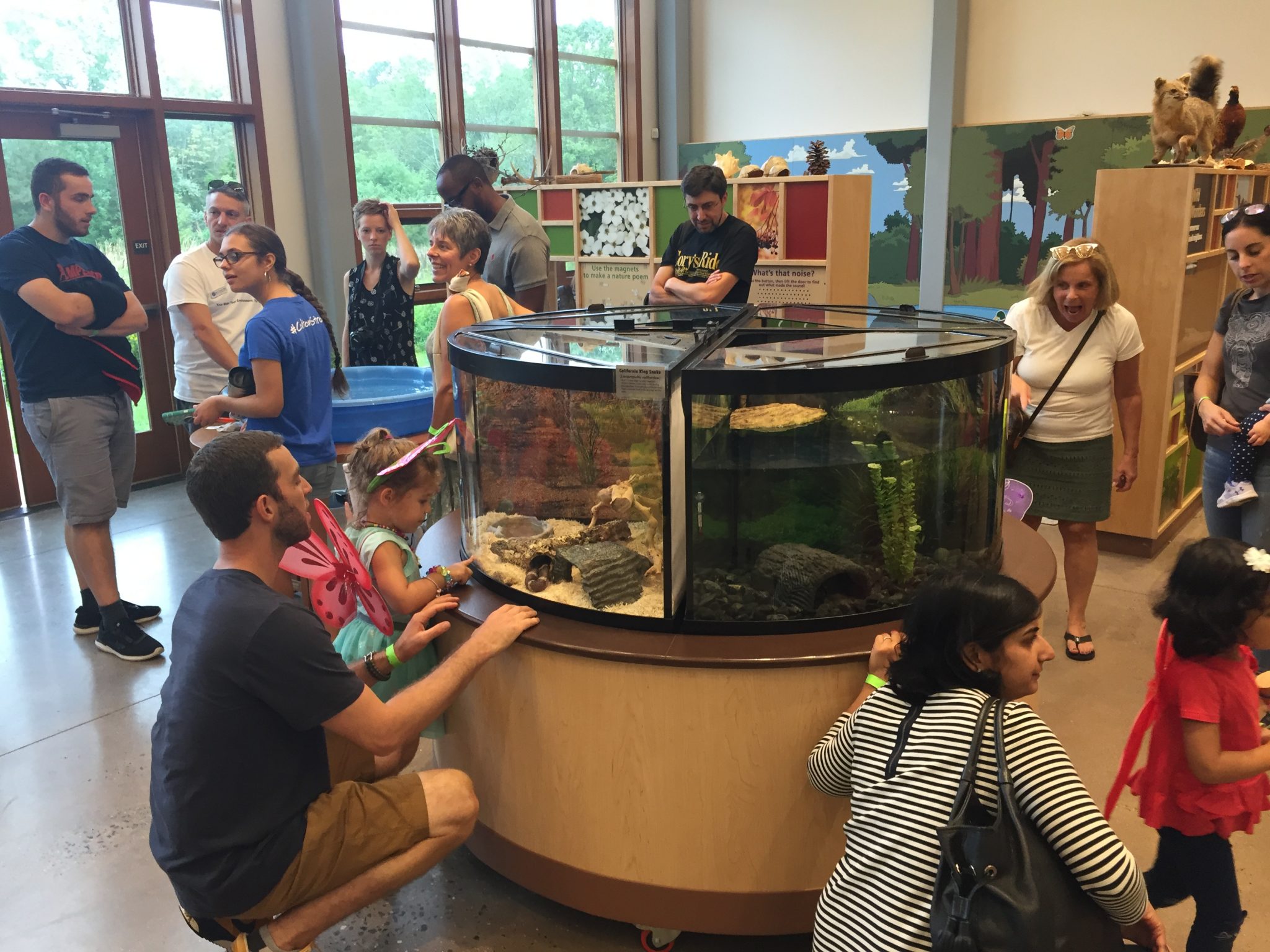 Butterfly Festival continues to be a growing attraction