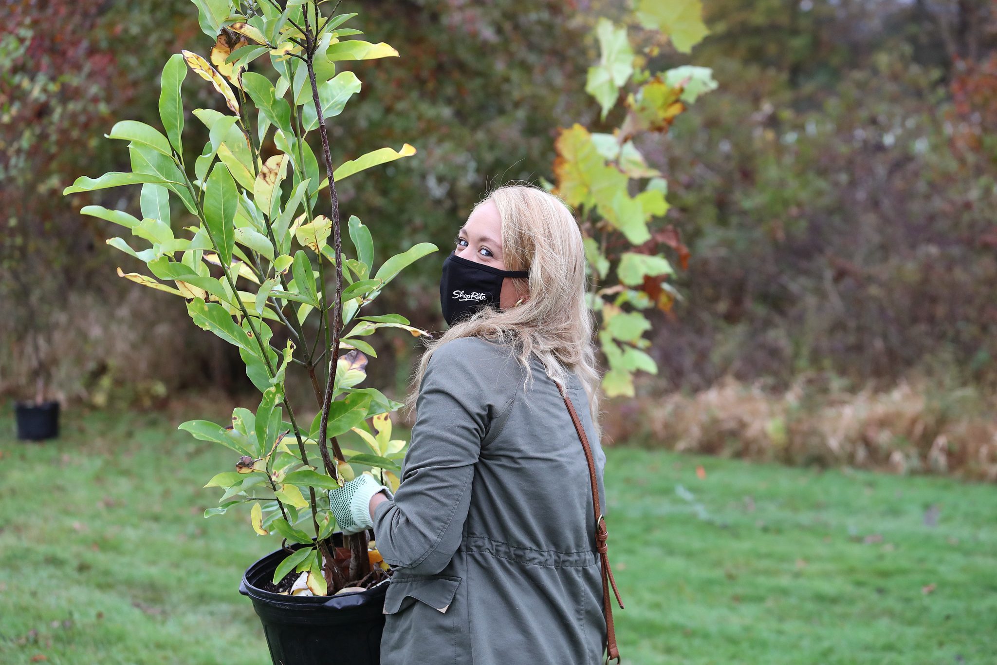 Dozens of trees planted in Rosedale Park through efforts of ShopRite, Kimberly-Clark, One Tree Planted