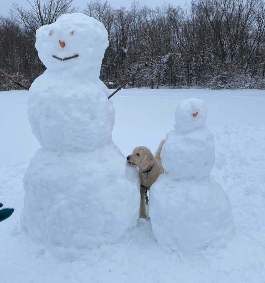 East Windsor, Hightstown residents deal with snowstorm