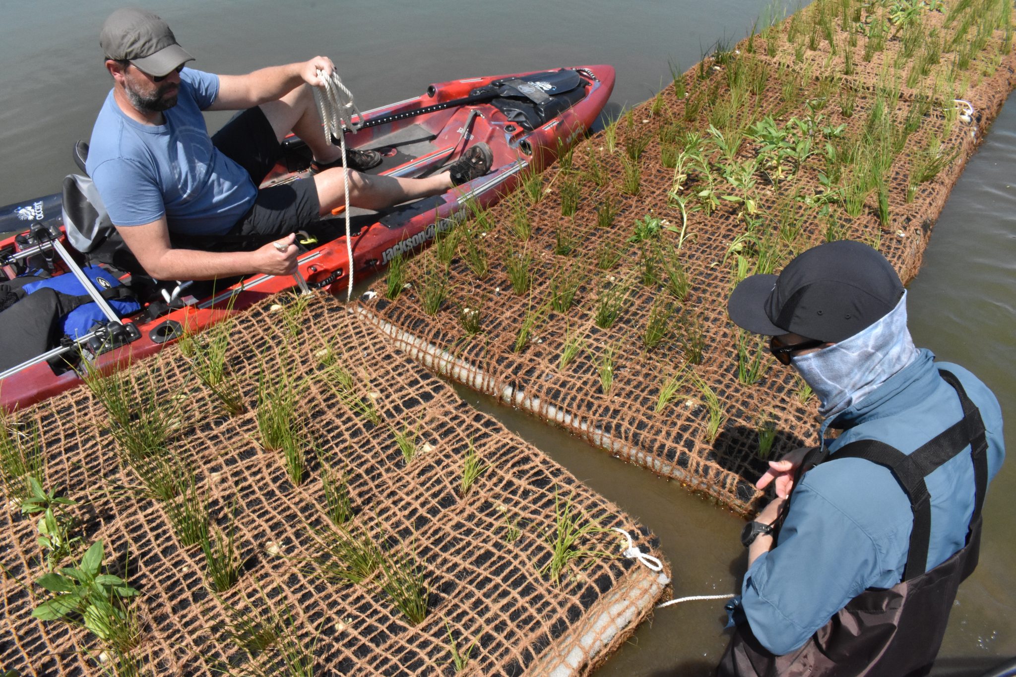 Watershed Institute helps address toxic algae blooms in Rosedale Lake with newly installed wetlands