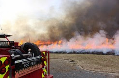 Prepare for prescribed burns at Mercer Meadows