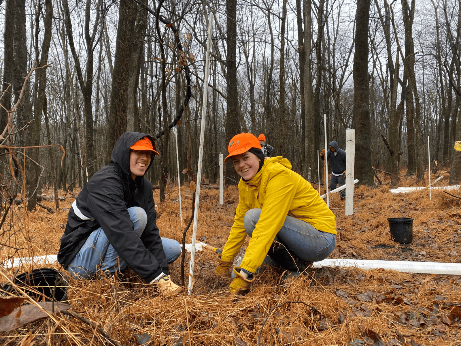 Sourland Mountain Region gains 10K trees in 2022