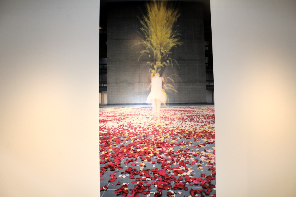 Sarah Meyohas debuts ‘Cloud of Petals’ exhibit at Bell Works