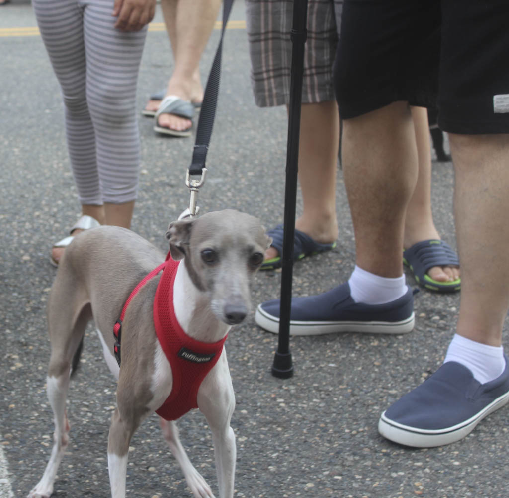 Keyport serves as dogs’ best friend