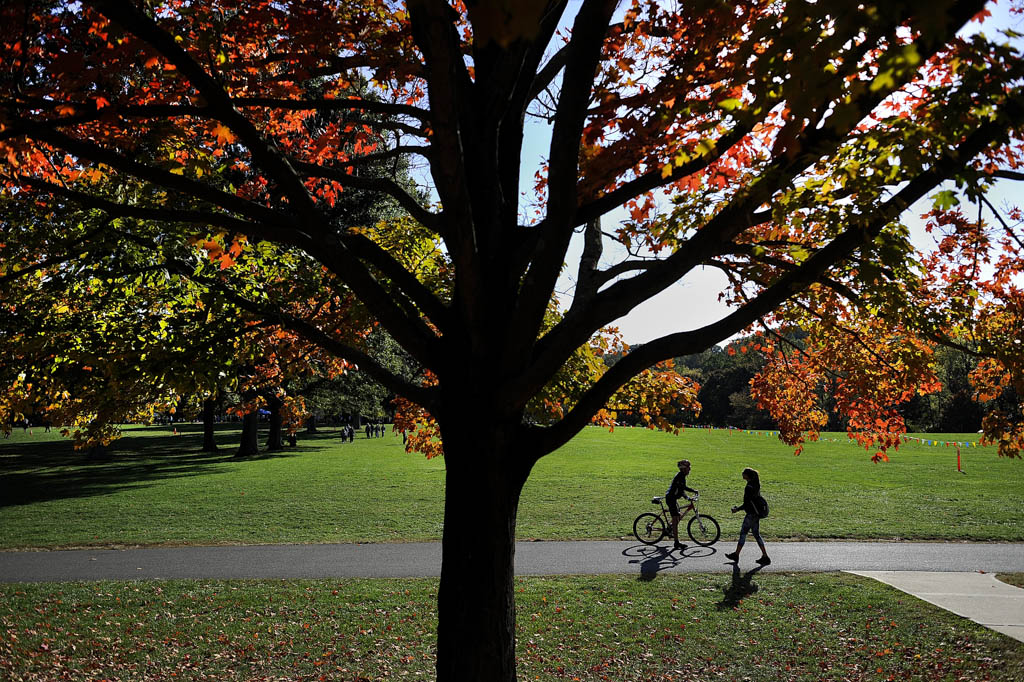 Florence Township and Bordentown Township awarded county grant for park improvements