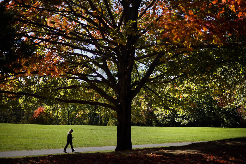 Scholarships will reward those committed to conservation