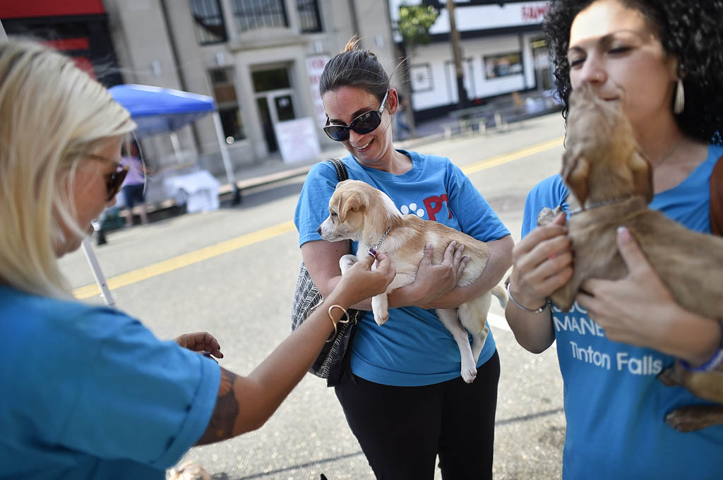 Pet adoption event to include games of chance, thrift sale