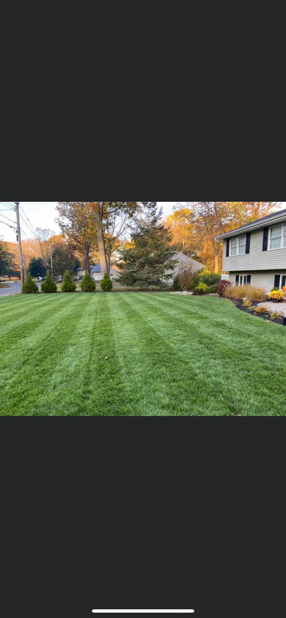 Opinion: Ways to assist landscapers based on Princeton’s laws