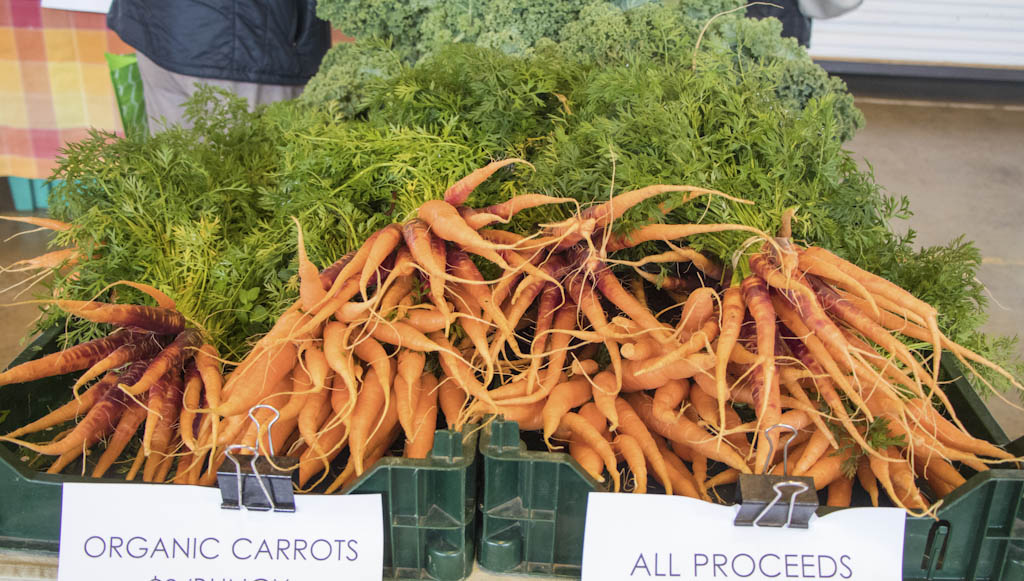 Princeton Farmers Market officially kicks off its summer market season