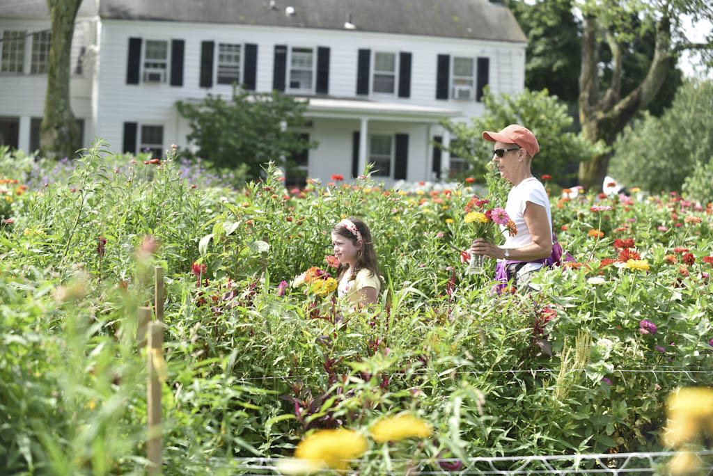 Metuchen, Woodbridge garden clubs to meet for discussion on edible landscapes