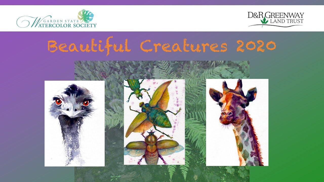 Residents invited to go on scavenger hunt to find ‘Beautiful Creatures’