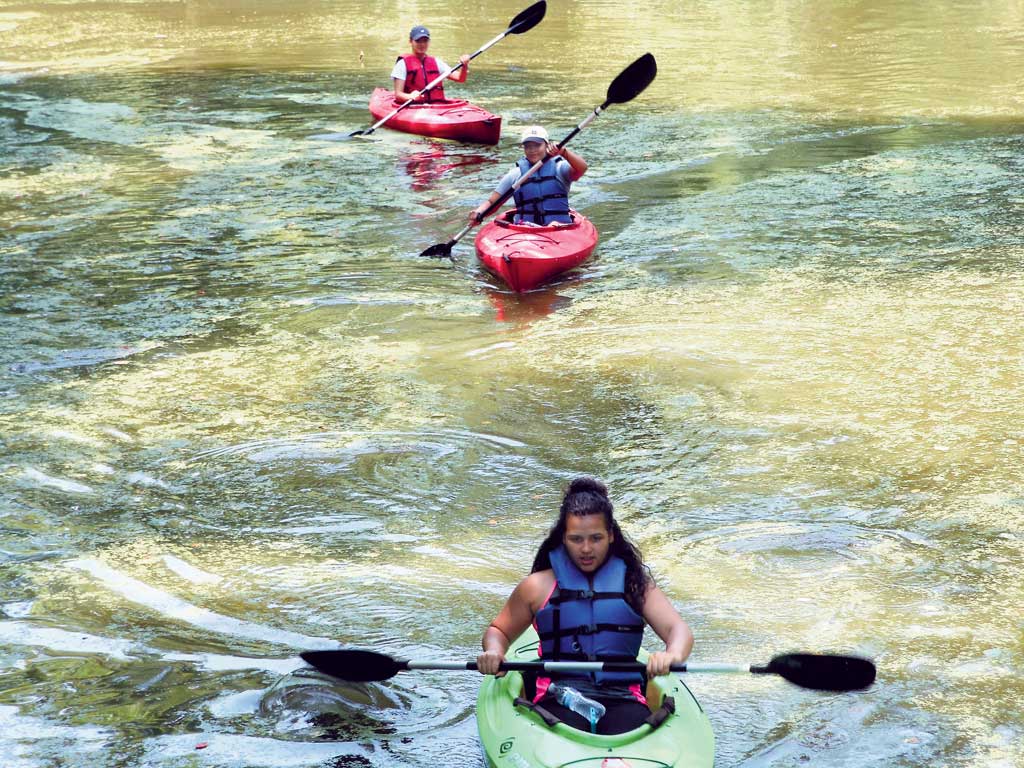 Wind & Sea Festival set for Sept. 14