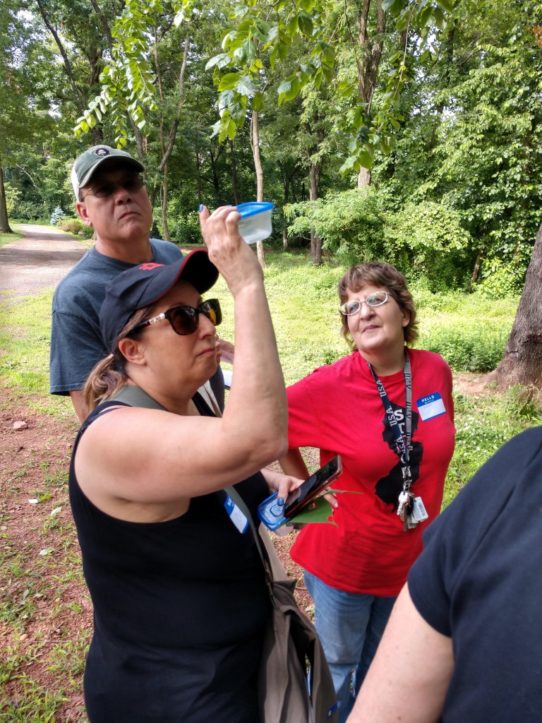 BioBlitz by citizen scientists uncovers 177 species living at Elmwood Cemetery in North Brunswick