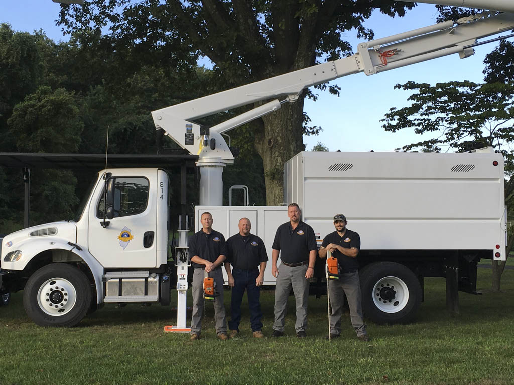 North Brunswick crew removes 20 trees in one month