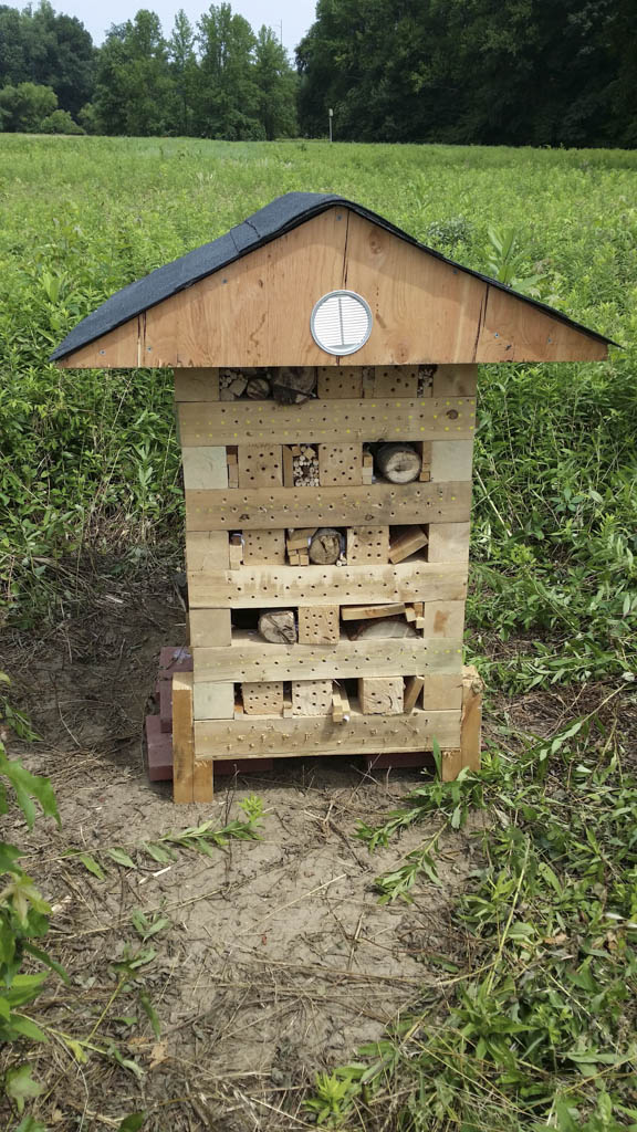 Pollinator ‘hotels’ provide area for insects to rest