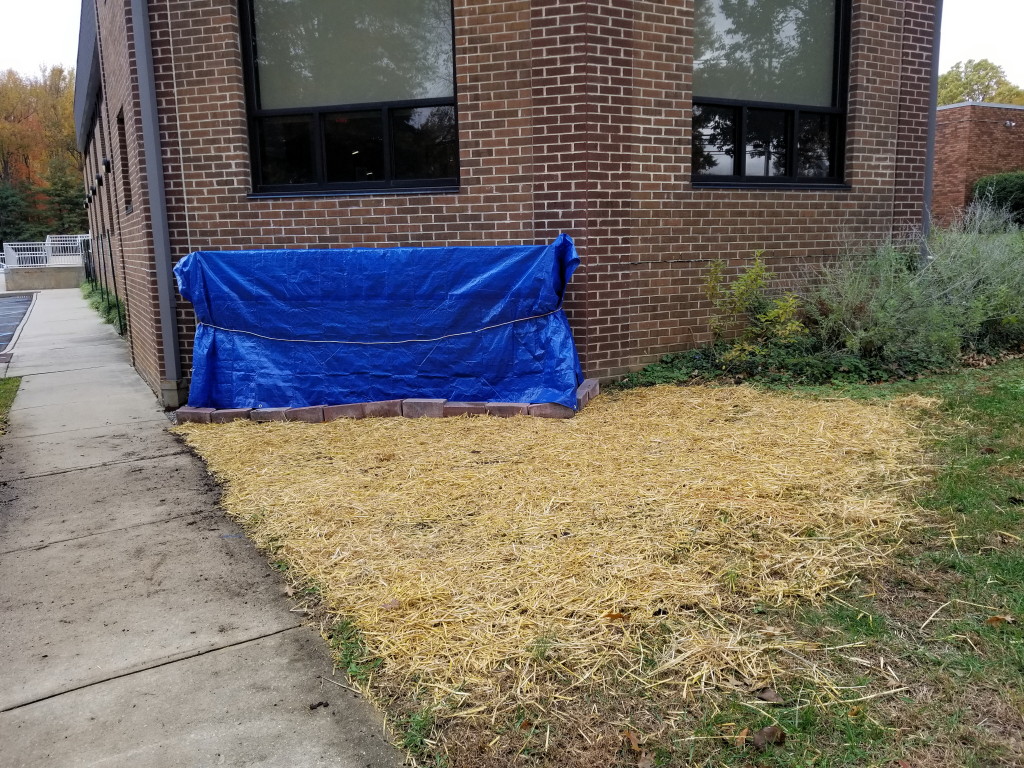 Diversity Wall to be unveiled at South Brunswick Library