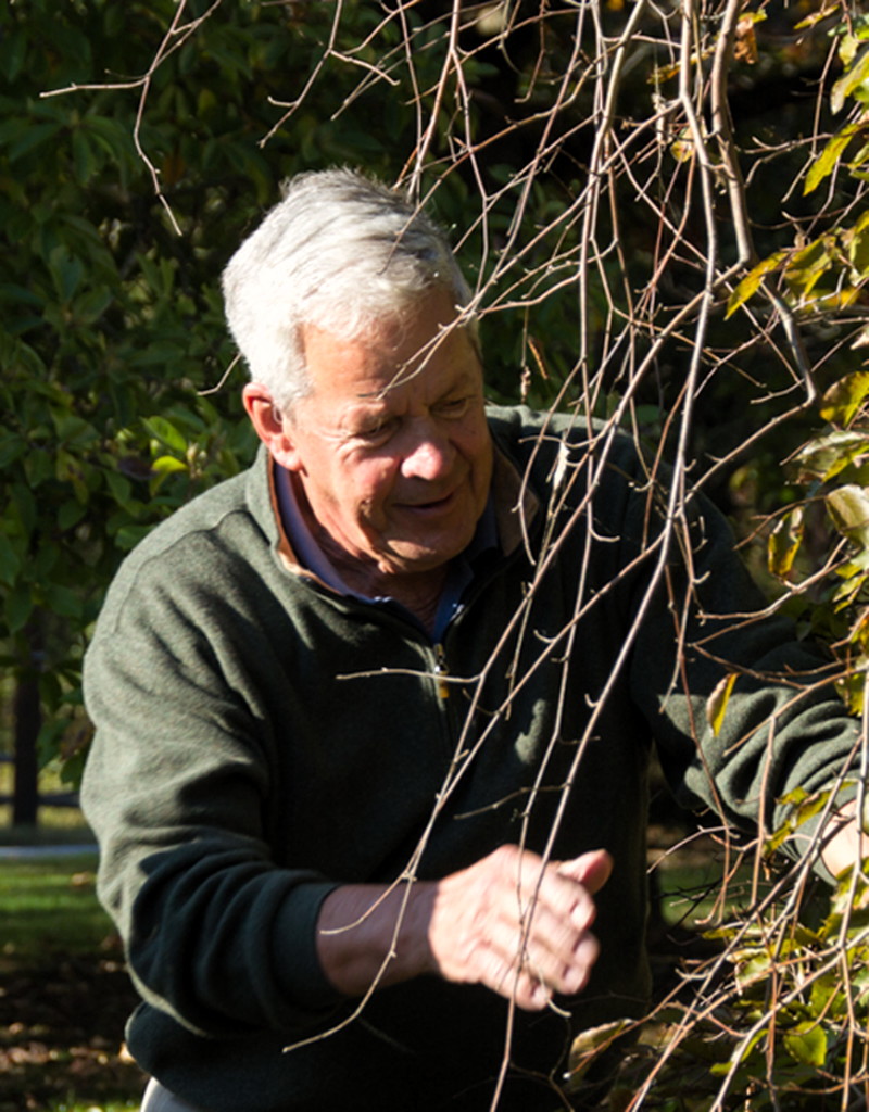 Spring celebration walk travels through Princeton Nursery Lands