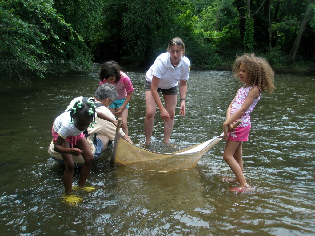 Kingston Greenways Association naturalist to teach about water critters