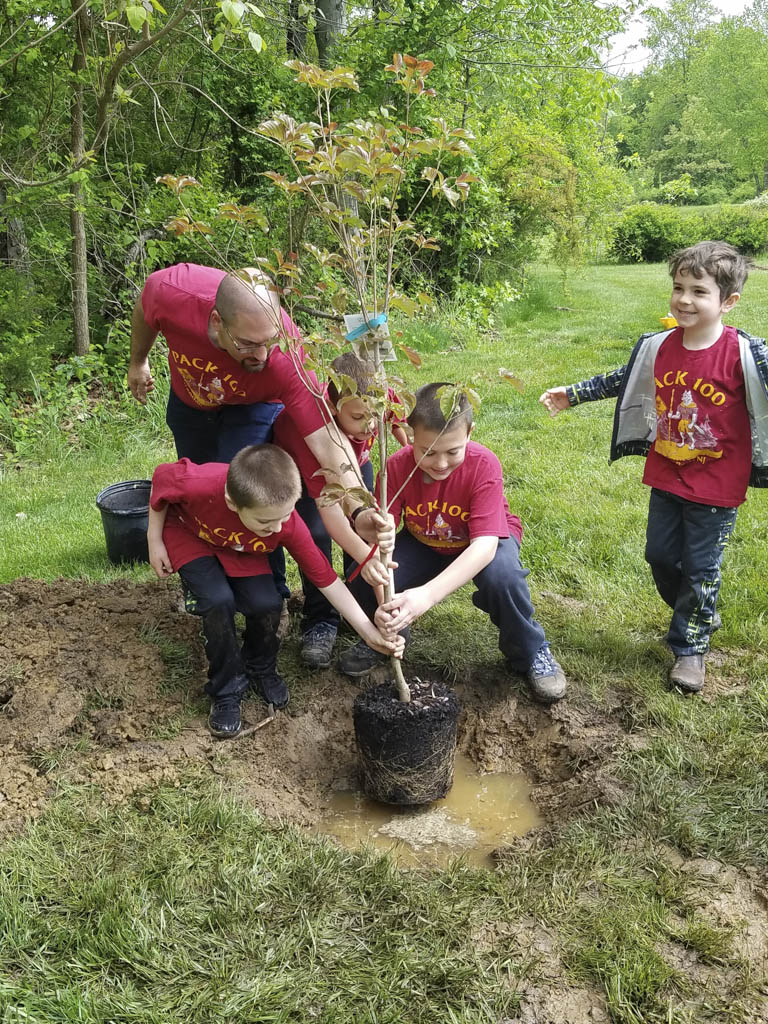 Volunteers needed for planting at Manalapan Lake in Monroe