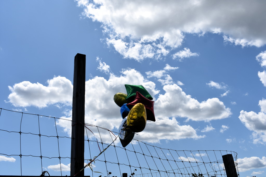 East Brunswick council seeks to ban balloon releases