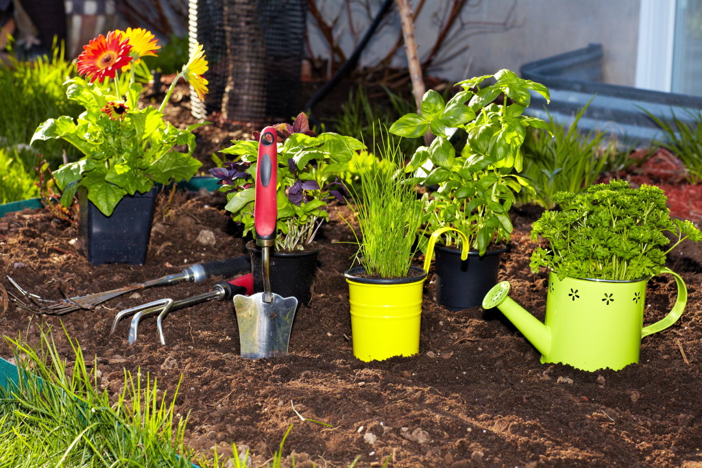 Learn how to garden in small spaces