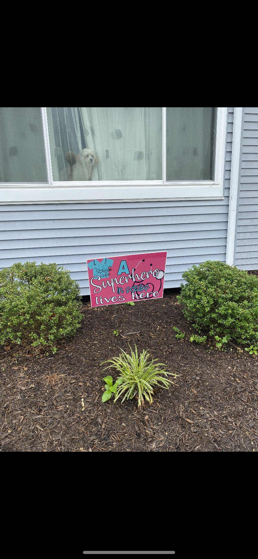 Neighbor allegedly complains about healthcare heroes lawn sign; resident alleges family targeted