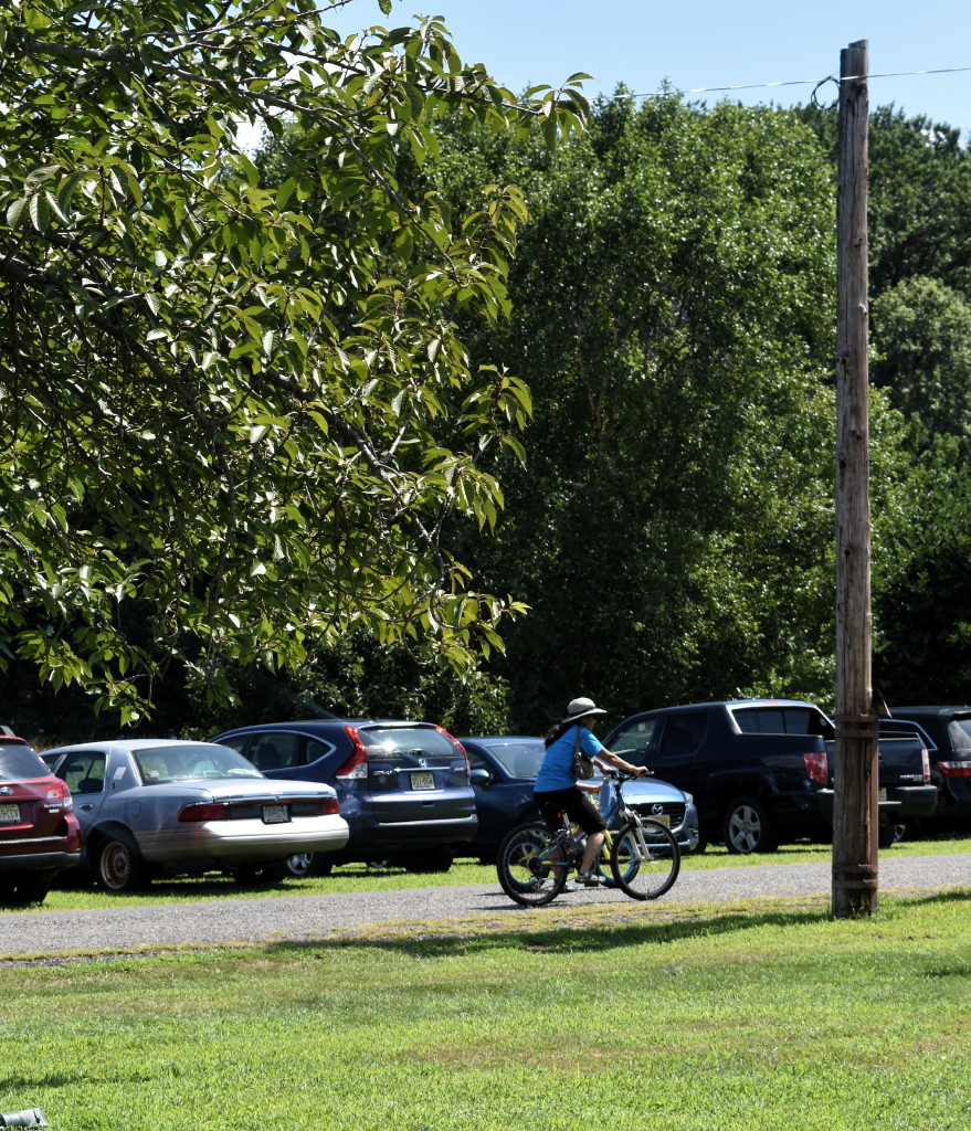 Residents: More safety measures for bicyclists and pedestrians are needed in Metuchen