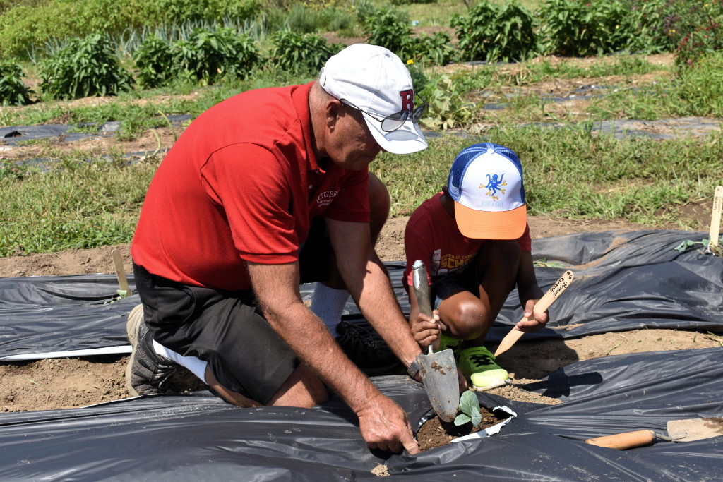 Horticulturist to discuss fall planting during Option Green program at East Brunswick Library