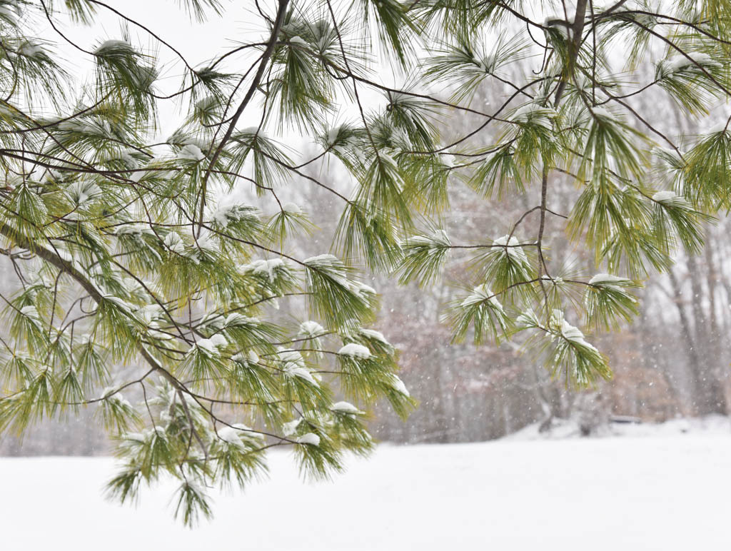 Two South Brunswick officers escape injury during ‘unprecented’ Winter Storm Quinn