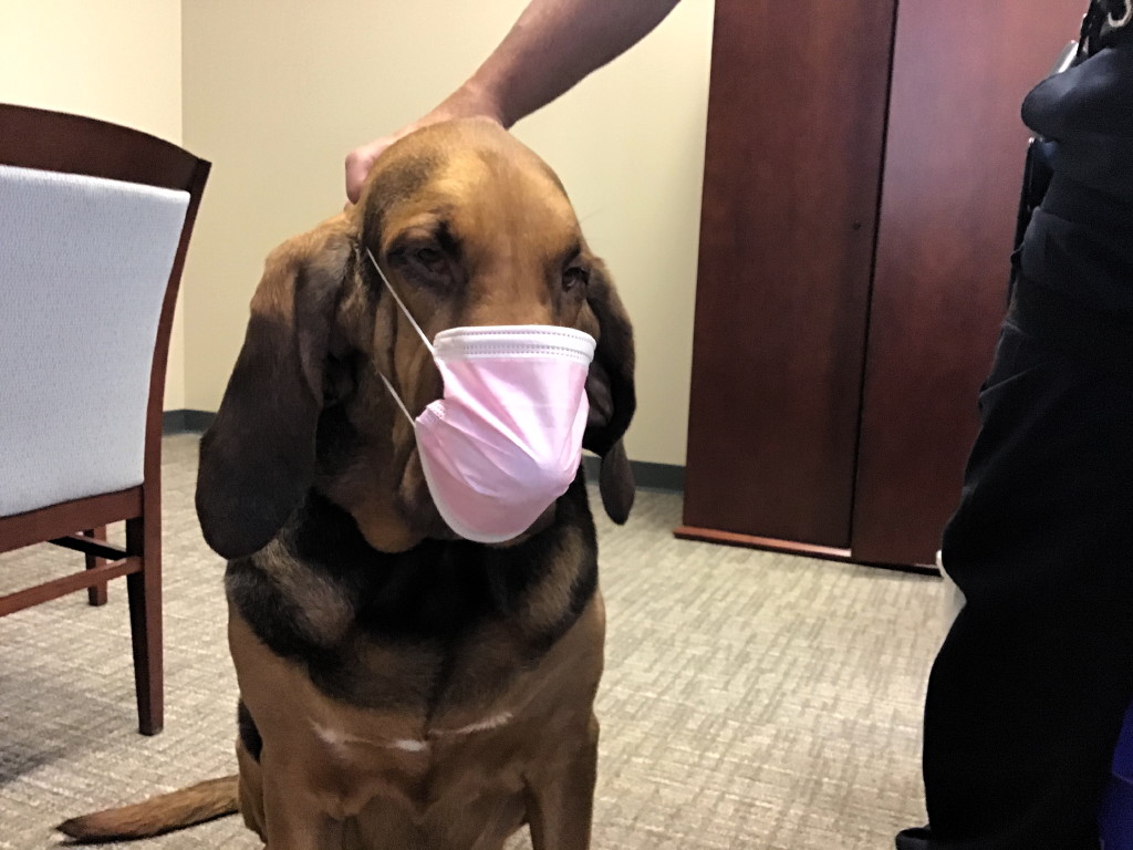 Sheriff’s office goes pink for Breast Cancer Awareness Month