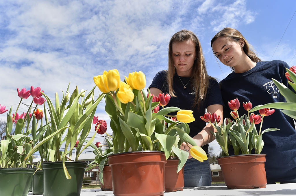 South Brunswick Library to hold Spring Fling