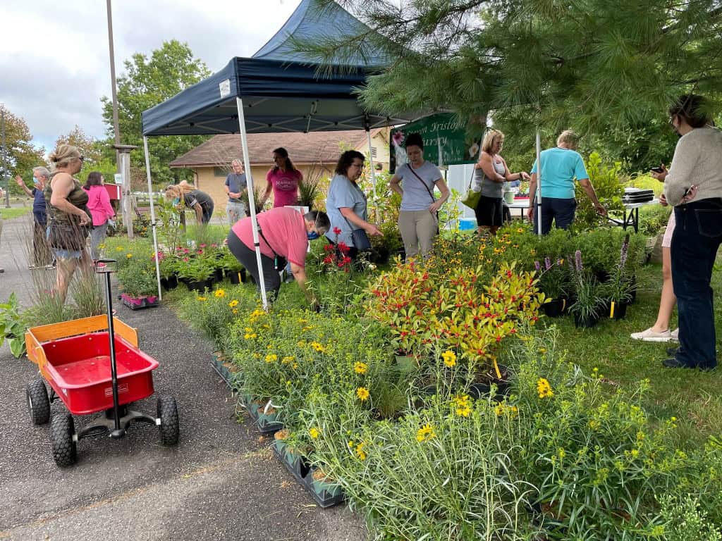 Manalapan Environmental Commission to host plant sale June 4