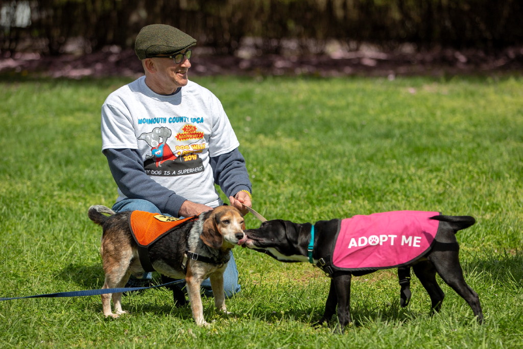 Dogs and humans enjoy 25th anniversary pet fair