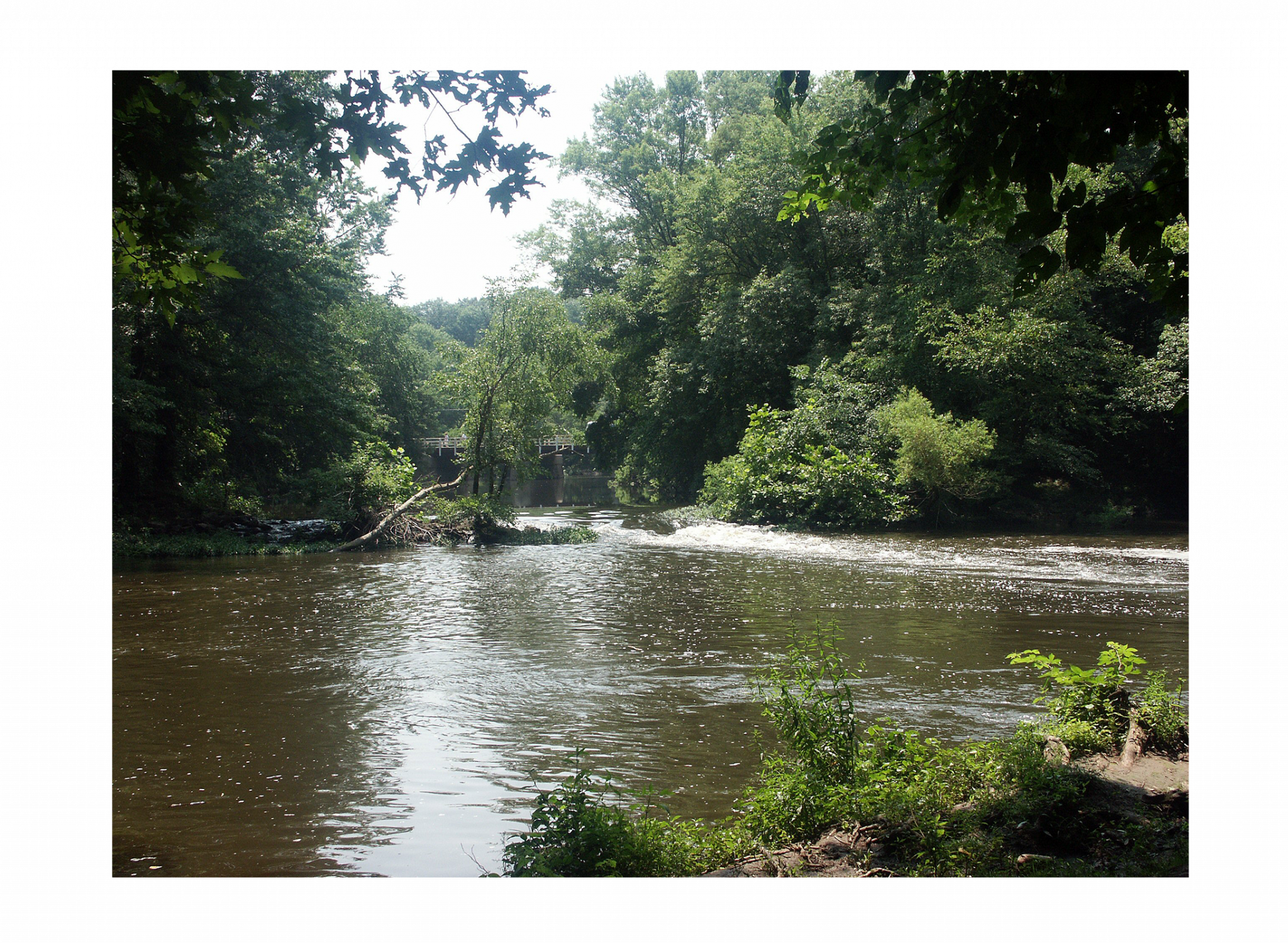 DEP announces plans to remove Somerset County dam using natural resource damages funds