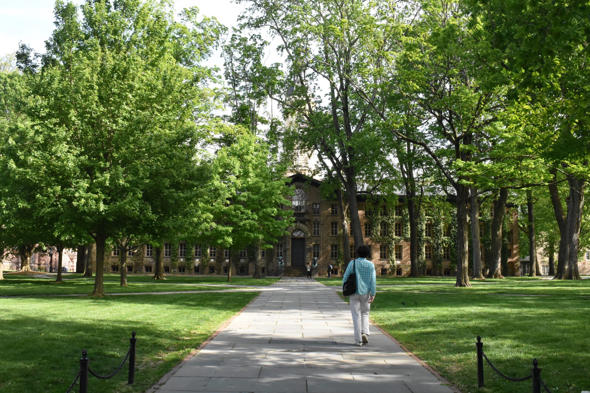 Princeton University will allow all undergraduates on campus for spring semester