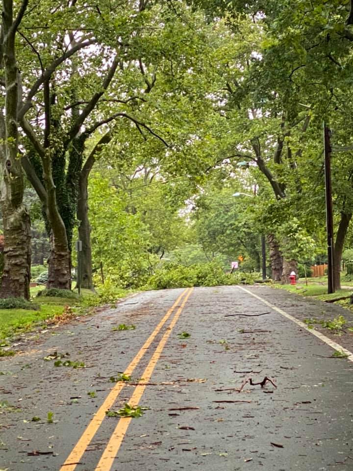 Mercer County residents, businesses urged to register storm damage information