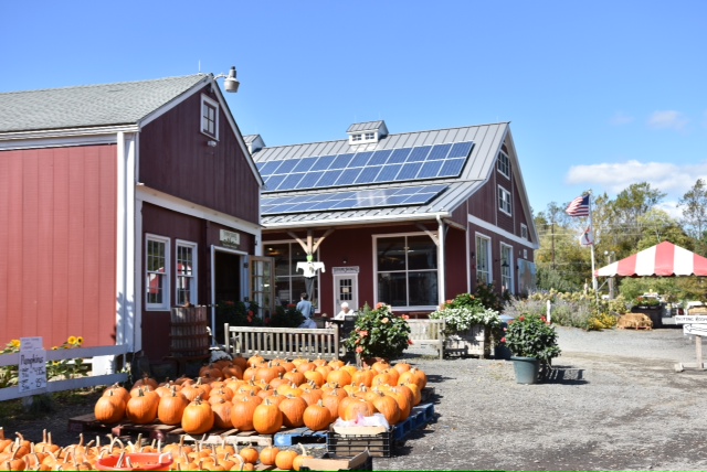 Terhune Orchards is showcasing everything pumpkin this weekend