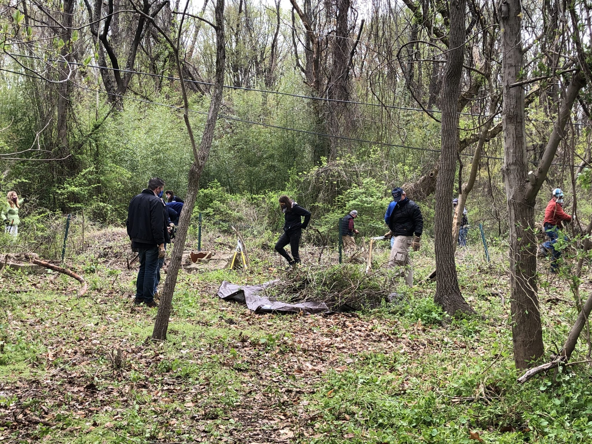 Dozens of volunteers clean up Princeton Battlefield