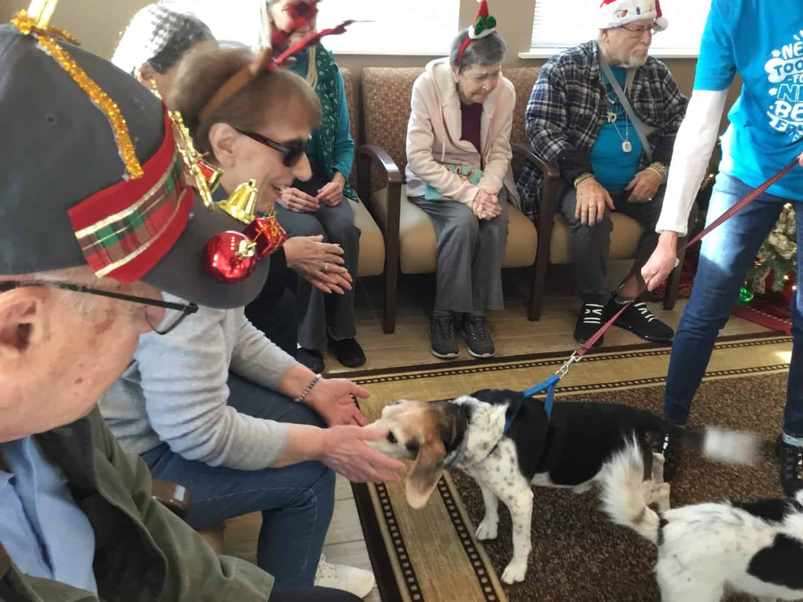 Senior dogs welcome senior citizens for a festive ‘paw-liday’ party