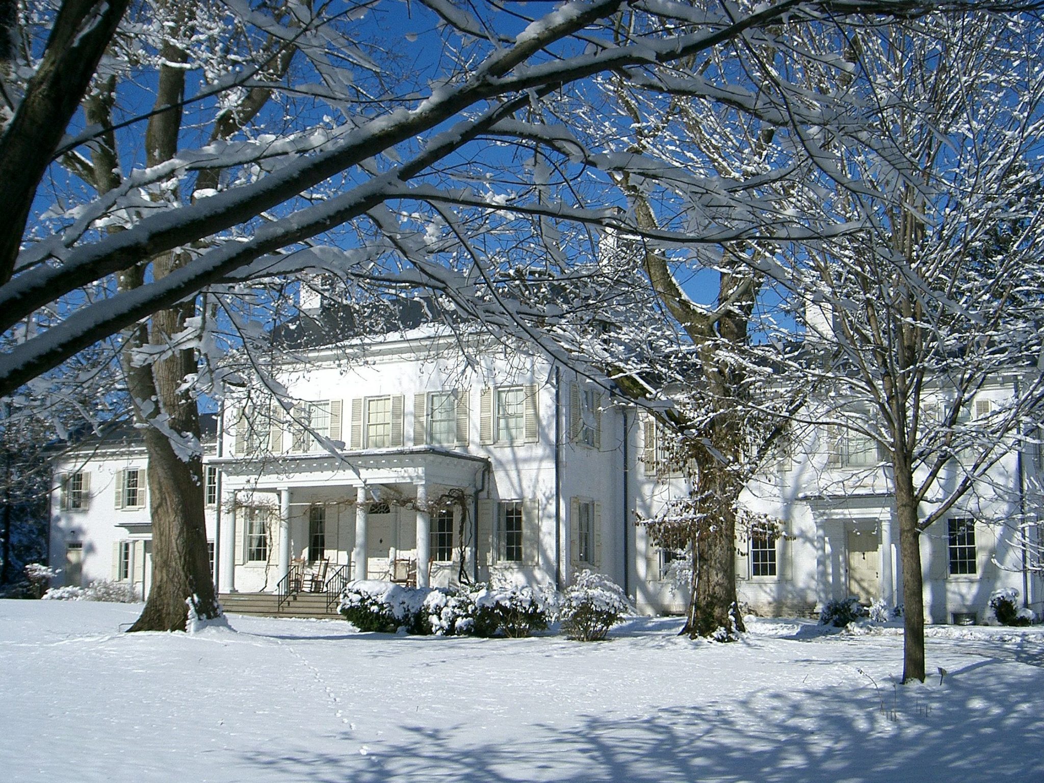 Morven Museum & Garden’s Festival of Trees tradition continues