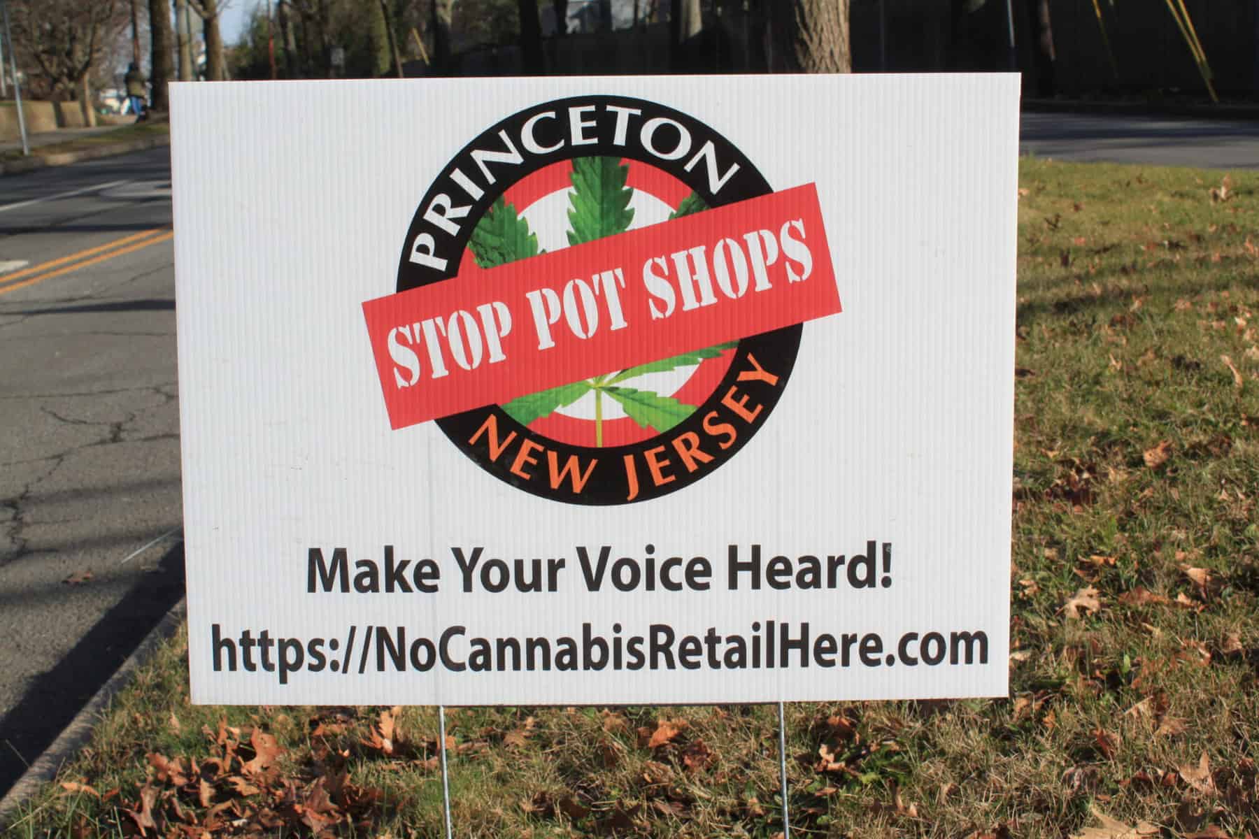 Princeton Council postpones meeting to discuss cannabis task force