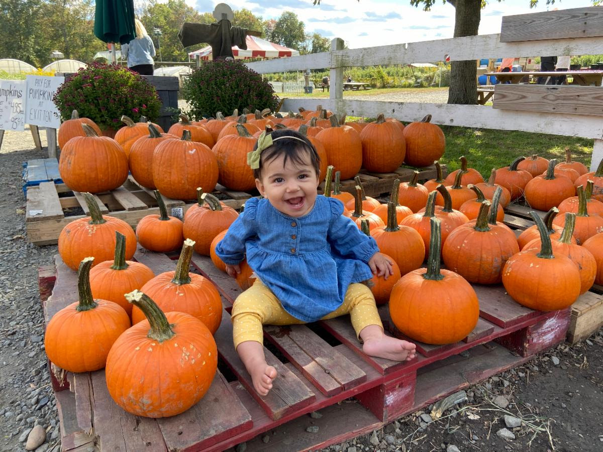 PHOTOS COURTESY OF TERHUNE ORCHARDS