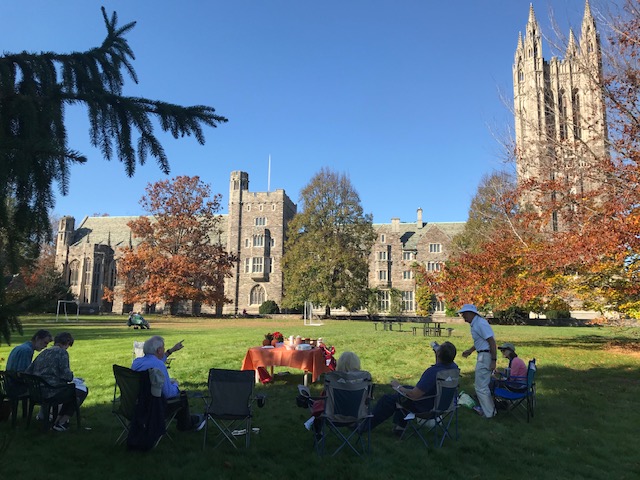 Carillon bells to toll on Nov. 22