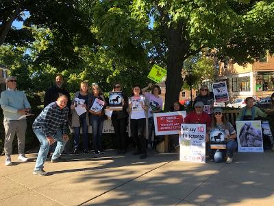 Wild horse advocates rally in Princeton