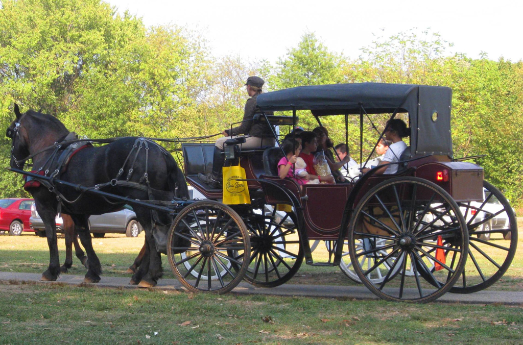 Gloria Zastko, Realtors sponsors North Brunswick Heritage Day