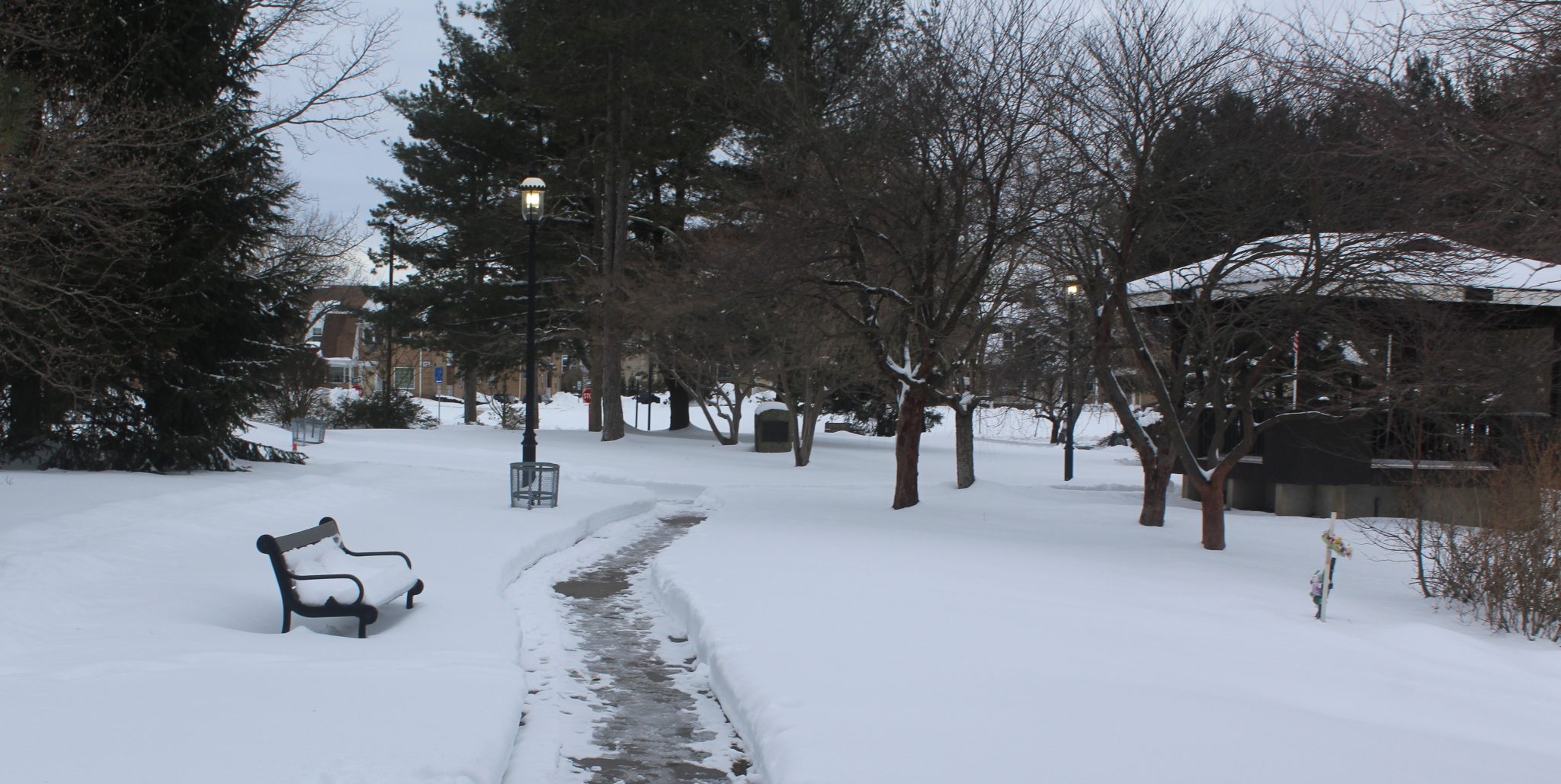 Scenic beauty in East Brunswick after snowstorm